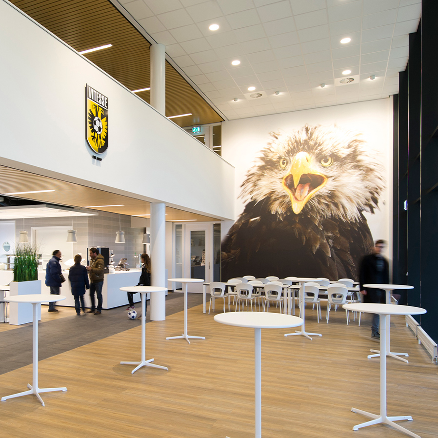 Vitesse